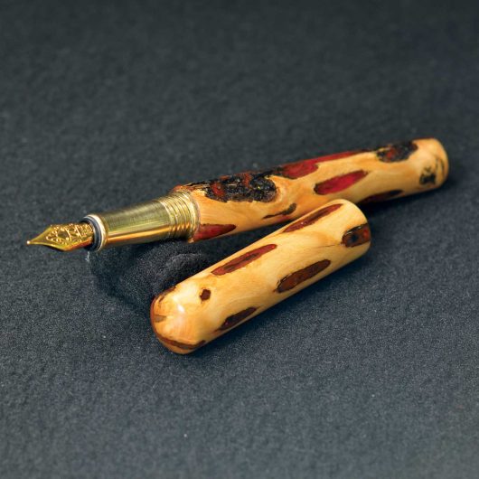 #197 - Cholla Cactus